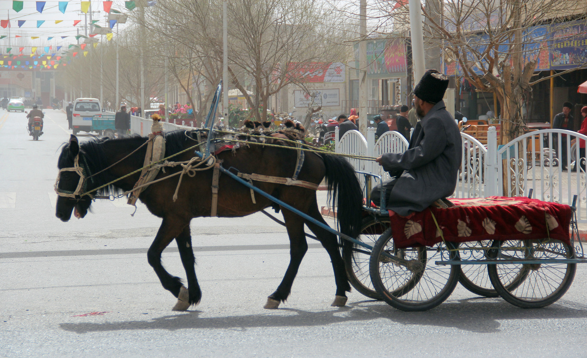 一位马车穿过马路去赶往"巴扎".