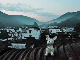 “徽”兔