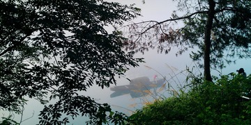 雾漫小东江 (28)