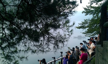 雾漫小东江 (85)