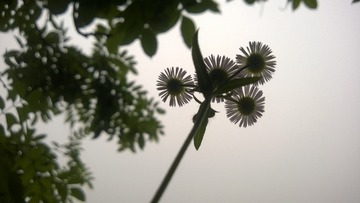 WP_20140608_006