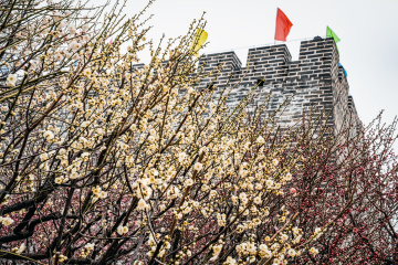 北京明城墙遗址公园（17）2026-03-17 f
