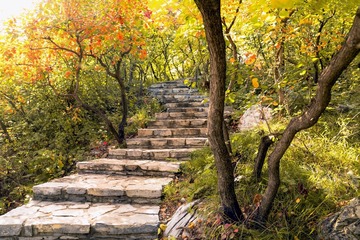 北京坡峰岭（34）2024-10-21 c