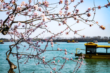 颐和园西堤（9）2026-03-20 c