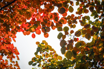 北京坡峰岭（17）2025-10-25 c