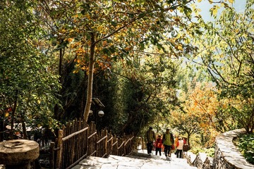 北京坡峰岭（7）2024-10-21 e