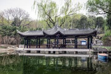 北京陶然亭公园海棠花（9）2026-04-02 f