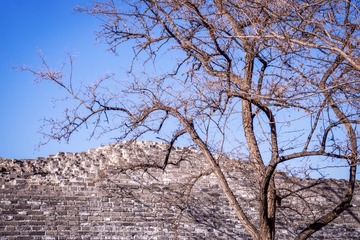 北京明城墙遗址公园（4）2024-3-22 e
