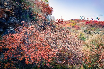 北京坡峰岭（14）2024-10-21 b