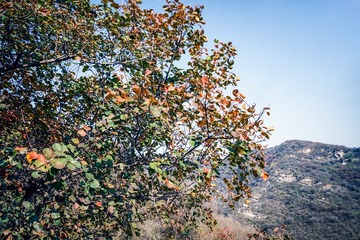 北京坡峰岭（17）2024-10-21 f