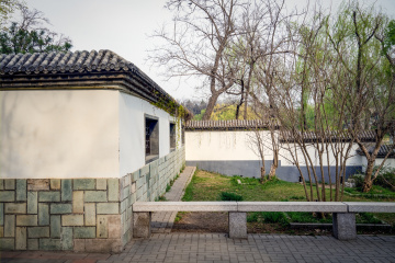 北京陶然亭公园海棠花（9）2026-04-02 c