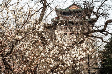 北京明城墙遗址公园（5）2025-3-13 b