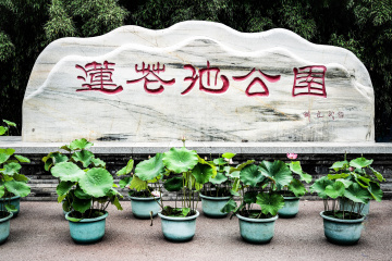 北京莲花池公园（1）2026-6-18 a