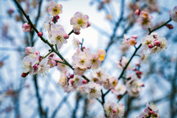 北京明城墙遗址公园（7）2026-03-17 e