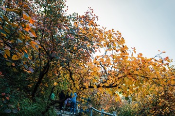 北京坡峰岭（27）2024-10-21 a
