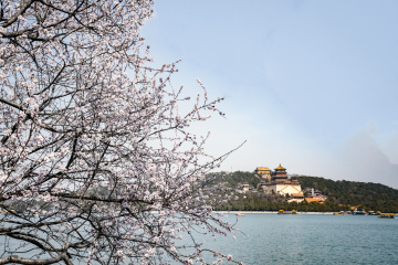 颐和园西堤（9）2026-03-20 d