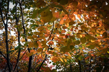 北京坡峰岭（17）2025-10-25 e