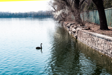 颐和园西堤（7）2026-03-20 f