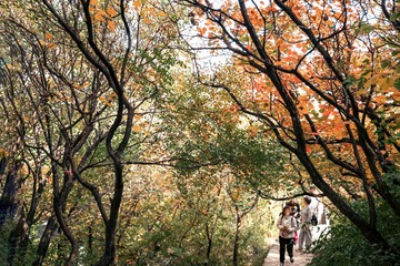 北京坡峰岭（29）2024-10-21 f