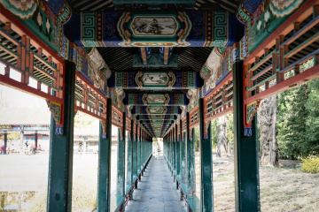 颐和园西堤（7）2026-03-20 b