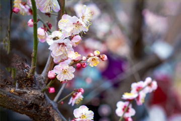 北京明城墙遗址公园（7）2026-03-17 c