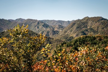 北京八达岭森林公园（21）2024-10-10 f