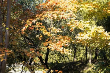 北宫森岭公园（7）2024-10-19 b
