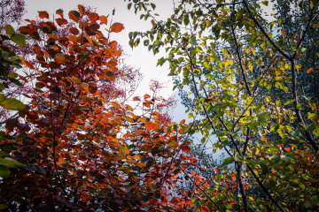 北京坡峰岭（17）2025-10-25 b