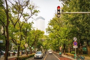 三里屯东、西五街（5）2024-10-25  c