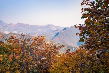 北京坡峰岭（27）2024-10-21 d