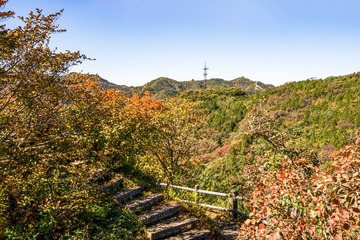 北京八达岭森林公园（22）2024-10-10 b