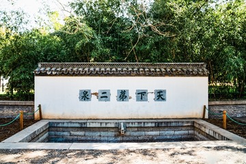 陶然亭公园海棠花（10）2025-4-2 d
