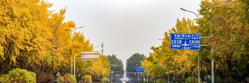 三里屯东、西五街（8）2024-10-25 b