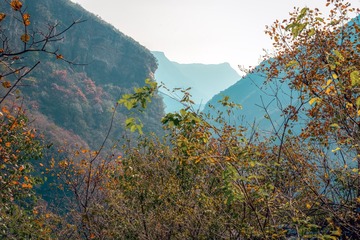 北京坡峰岭（16）2024-10-21 b