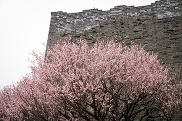 北京明城墙遗址公园（14）2025-3-13 d