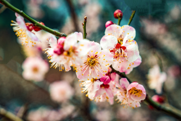 北京明城墙遗址公园（6）2026-03-17 d