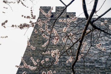 北京明城墙遗址公园（13）2025-3-13 c