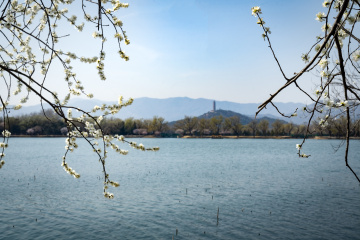 颐和园西堤（16）2026-03-20 e