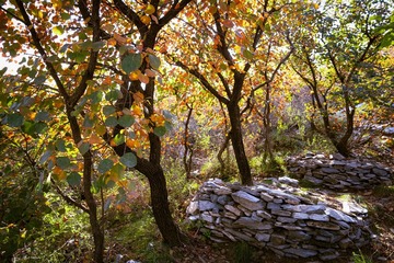 北京坡峰岭（22）2024-10-21 c