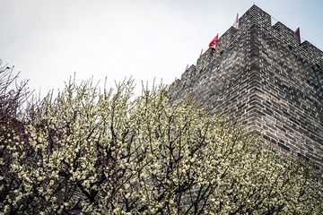 北京明城墙遗址公园（6）2025-3-13 e