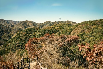 北京八达岭森林公园（22）2024-10-10 f