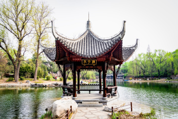 北京陶然亭公园海棠花（9）2026-04-02 d