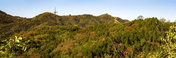 北京八达岭森林公园（21）2024-10-10 d