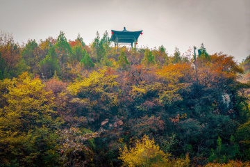 北京坡峰岭（16）2025-10-25 f