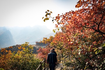 北京坡峰岭（35）2024-10-21 f