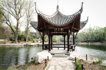 北京陶然亭公园海棠花（9）2026-04-02 e