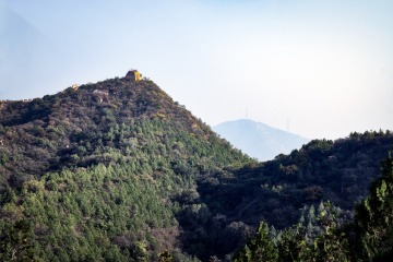 北京八达岭森林公园（21）2025-10-14 c