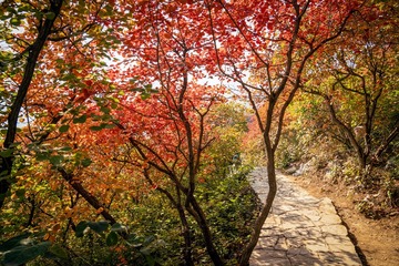 北京坡峰岭（35）2024-10-21 b