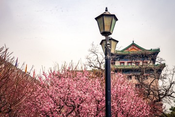 北京明城墙遗址公园（4）2025-3-13 e