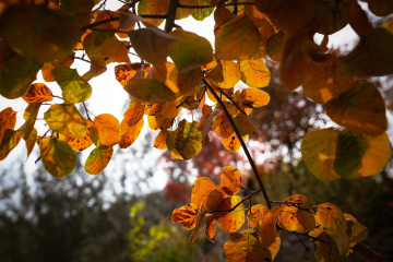 北京坡峰岭（16）2025-10-25 b